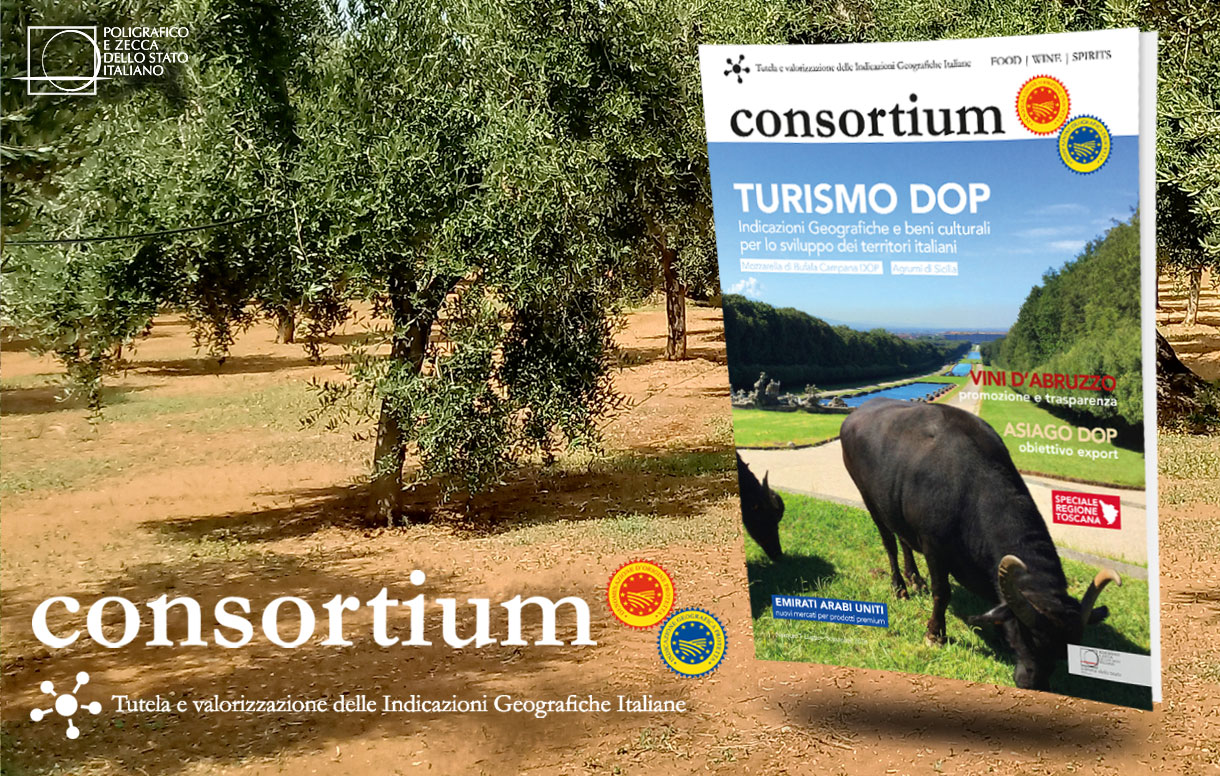 Nuovo numero della rivista Consortium