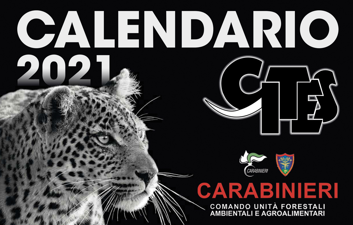 Calendario CITES 2021: conservazione ed educazione ambientale al centro della nuova edizione