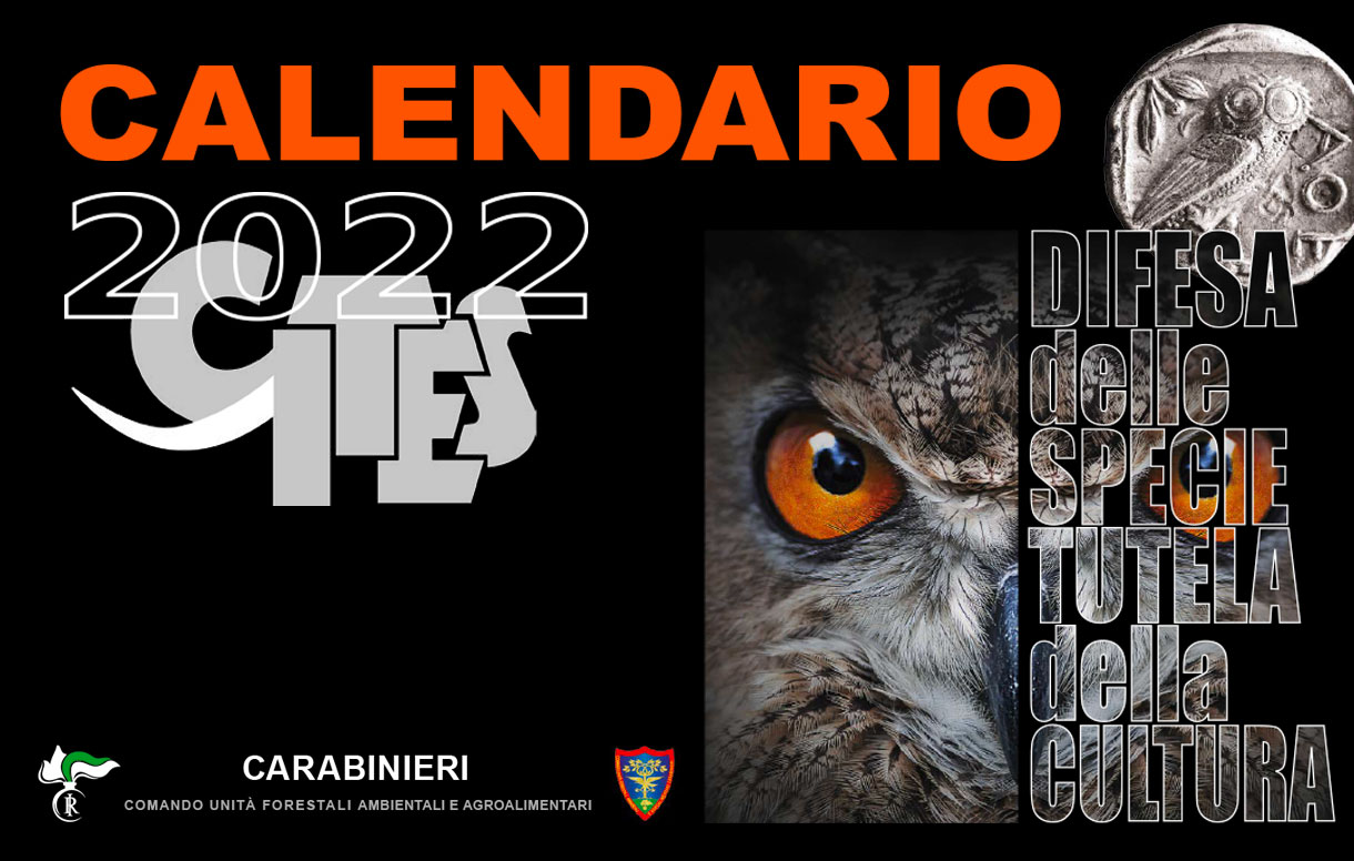Eventi, all'Università Sapienza di Roma la presentazione del calendario CITES 2022