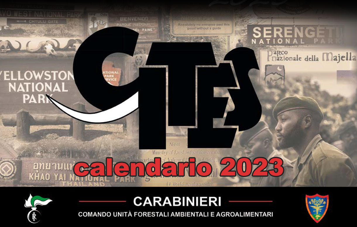 Presentato il nuovo calendario dell'Arma dei Carabinieri, Cities 2023