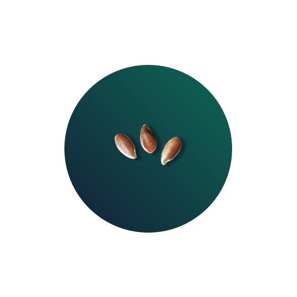 Fixed layer