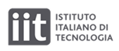 IIT Logo