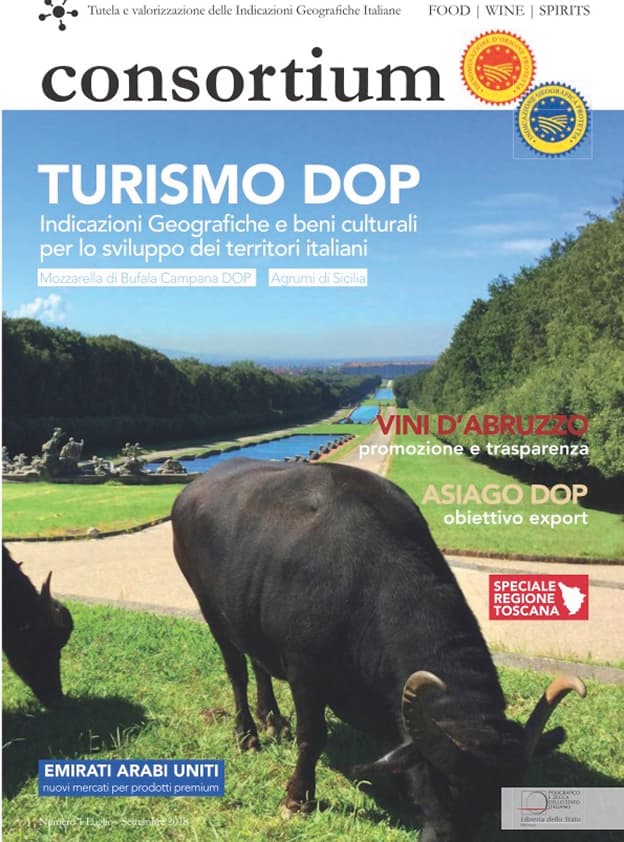 Consortium 2018/01