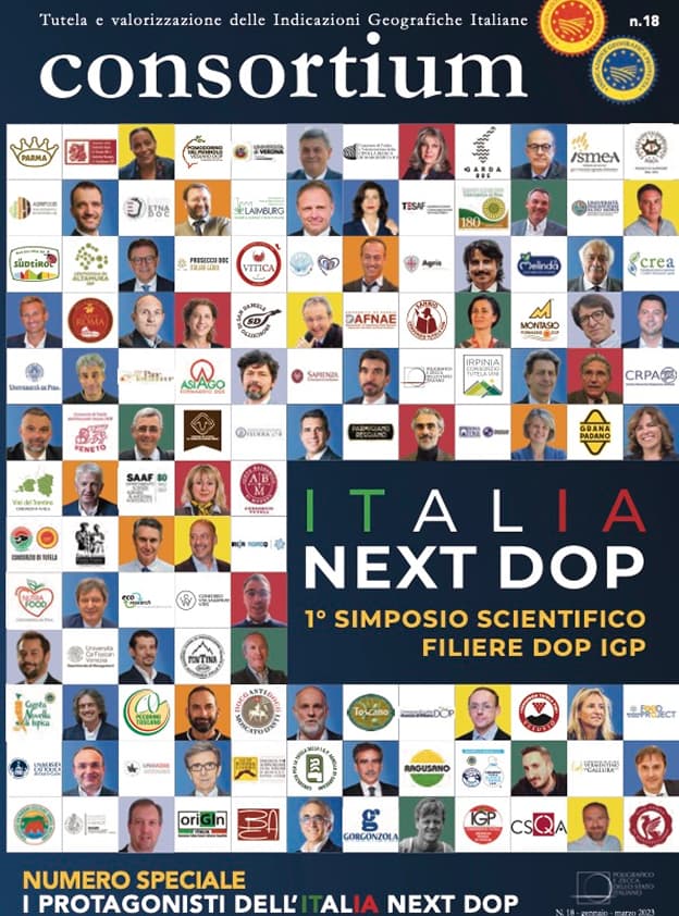 Consortium 2023/18